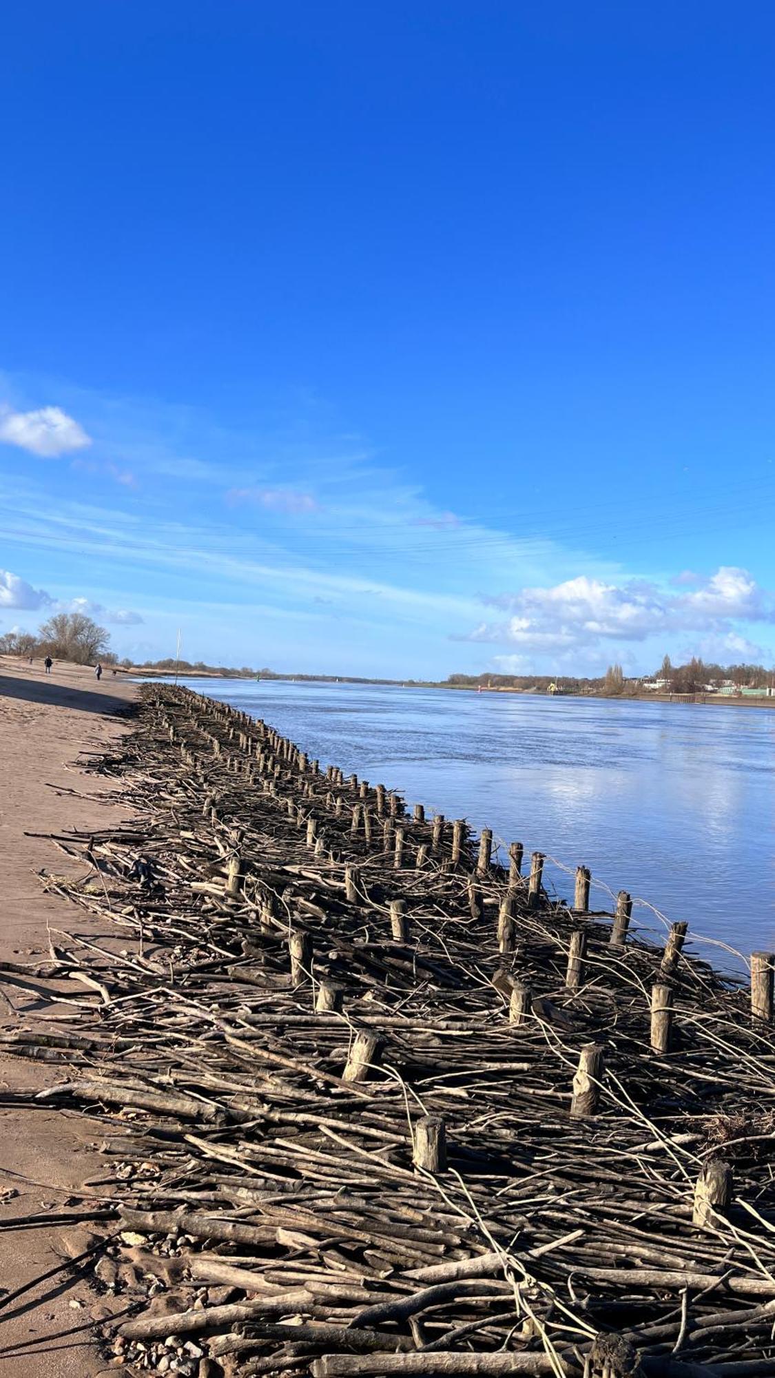 Gaestehaus Weserblick Am Weser-Sandstrand Berne المظهر الخارجي الصورة