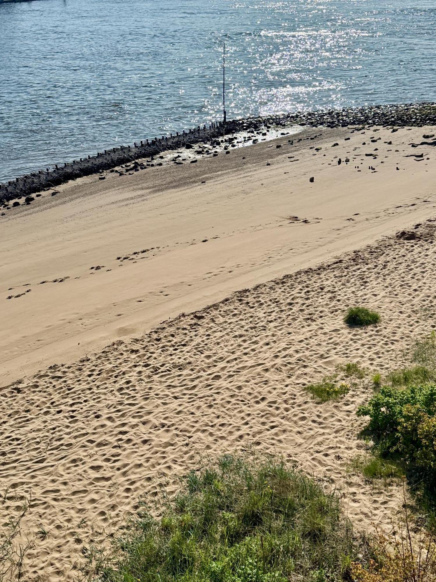 Gaestehaus Weserblick Am Weser-Sandstrand Berne المظهر الخارجي الصورة