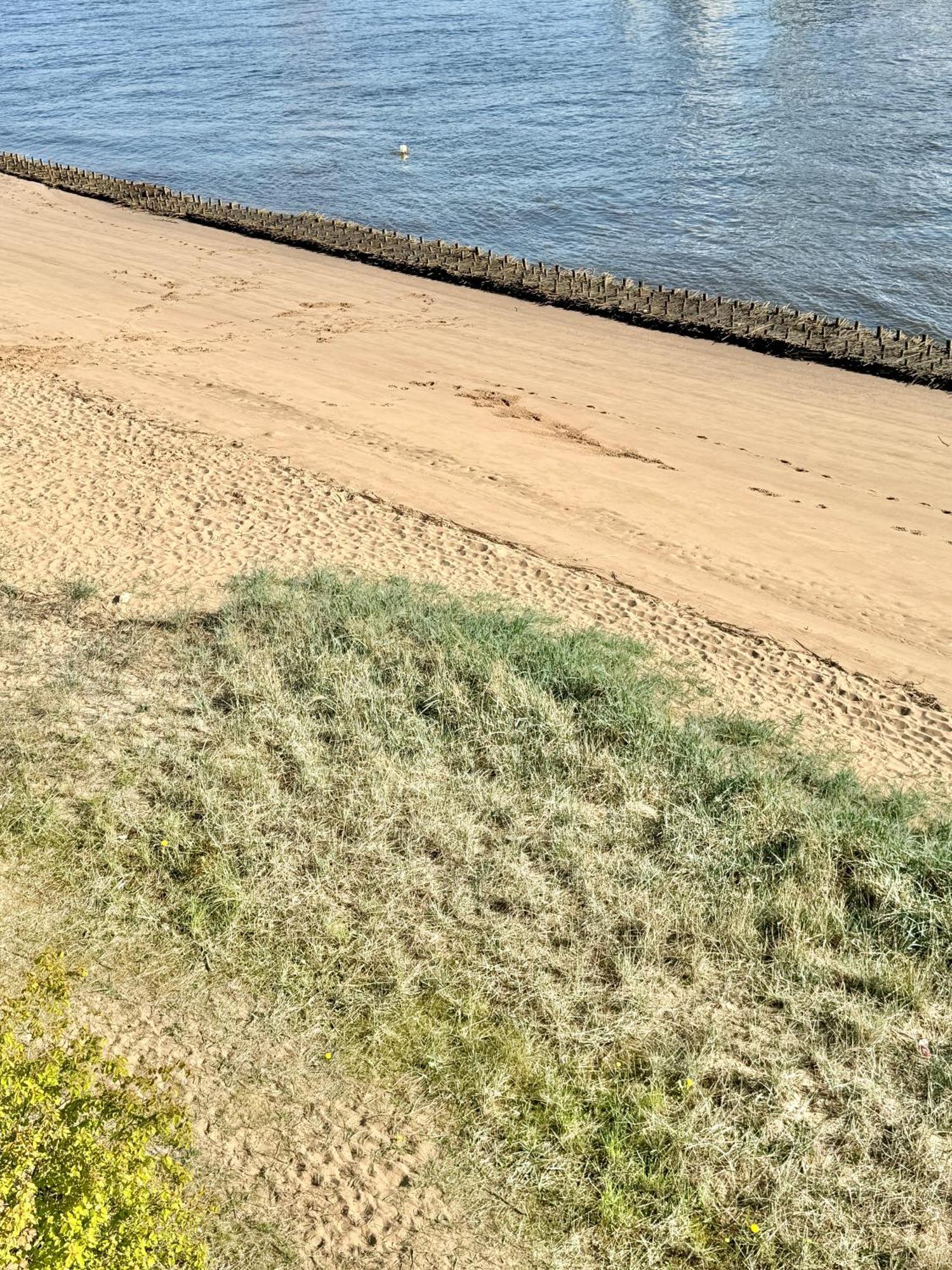 Gaestehaus Weserblick Am Weser-Sandstrand Berne المظهر الخارجي الصورة
